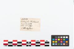 Etikett zu Schleifstein (NHMW-PRAE-025153)
